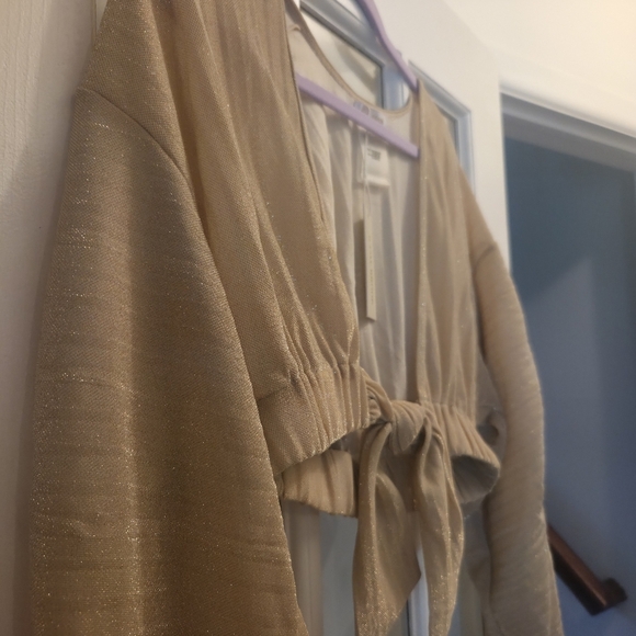 Ramy Brook Alegria Layering Blouse W/ Ruched Sleeves & Cinched Waist- Gold Shim - Picture 3 of 6